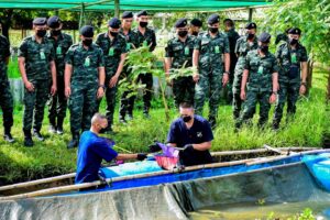 ทหารอุดรฝึกอบรมวิชาชีพการผลิตปลานิลแปลงเพศให้กับพลทหาร ก่อนปลดประจำการ