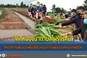 โคกหนองนาตำบลไผ่รุ่งรัศมี ภูผาสุข อำเภอเมืองกาฬสินธุ์