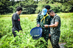 ร.13 พัน.1 จัดกำลังพลออกรับซื้อพืชผลทางการเกษตรในพื้นที่ จ.อุดรธานี